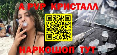 меф Кингисепп