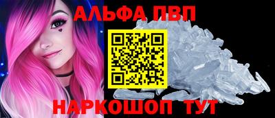 ECSTASY Канаш